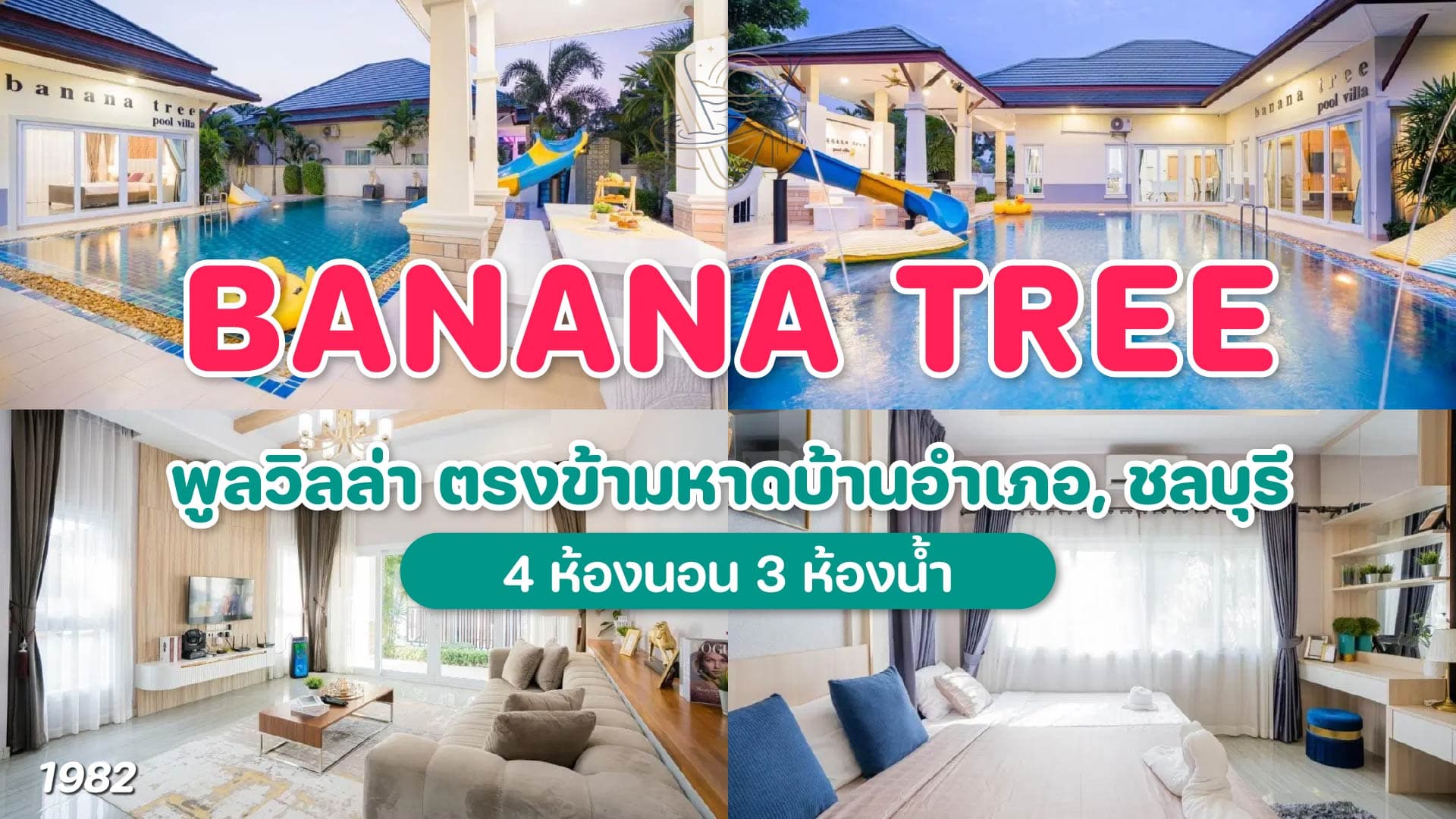 banana tree